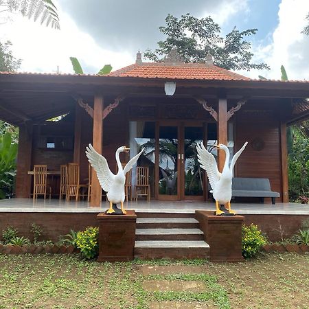 Lembah Cinta Mayungan Baturiti Zewnętrze zdjęcie