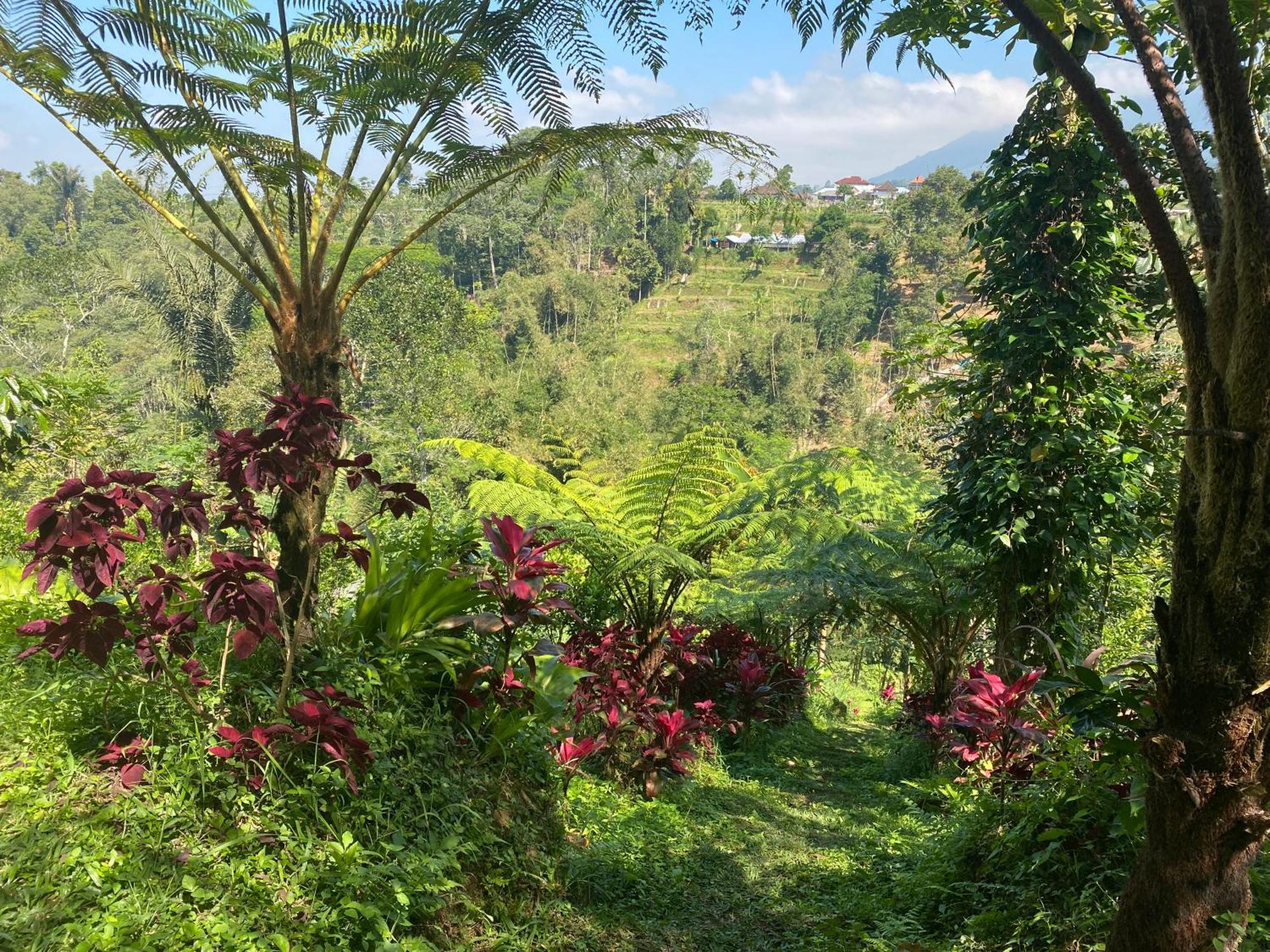 Lembah Cinta Mayungan Baturiti Zewnętrze zdjęcie