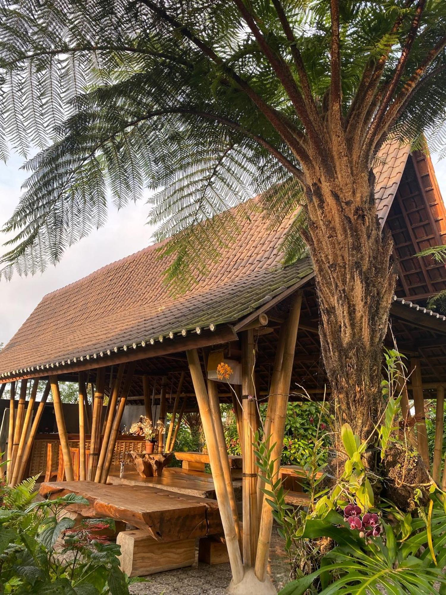 Lembah Cinta Mayungan Baturiti Zewnętrze zdjęcie