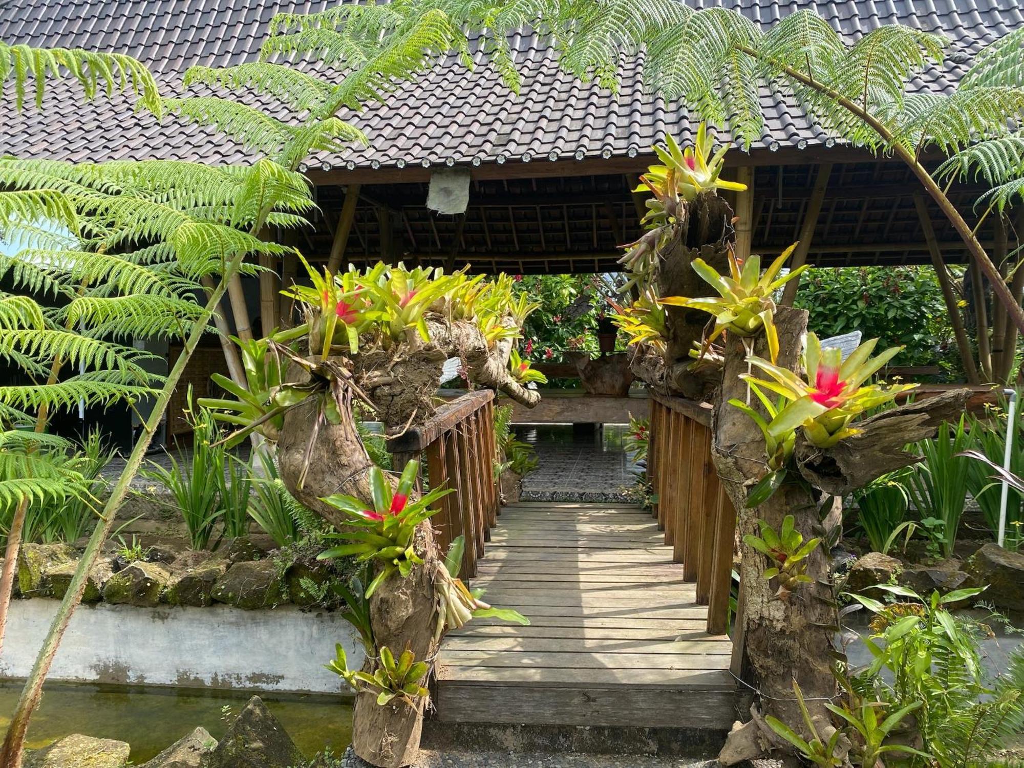 Lembah Cinta Mayungan Baturiti Zewnętrze zdjęcie