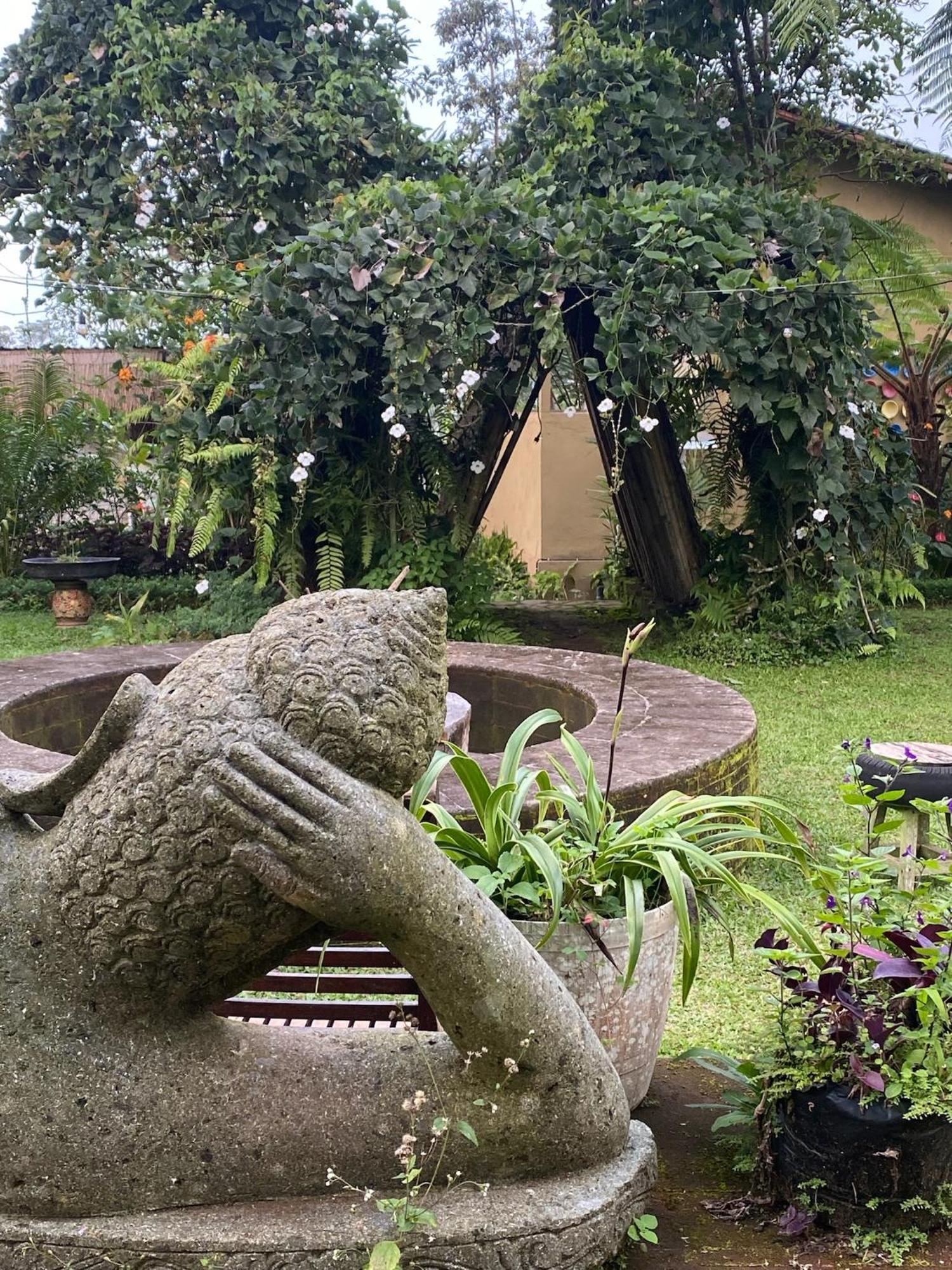 Lembah Cinta Mayungan Baturiti Zewnętrze zdjęcie